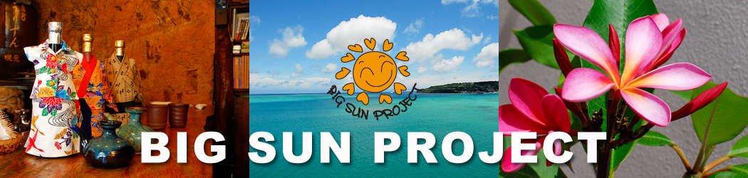 BIG SUN PROJECT